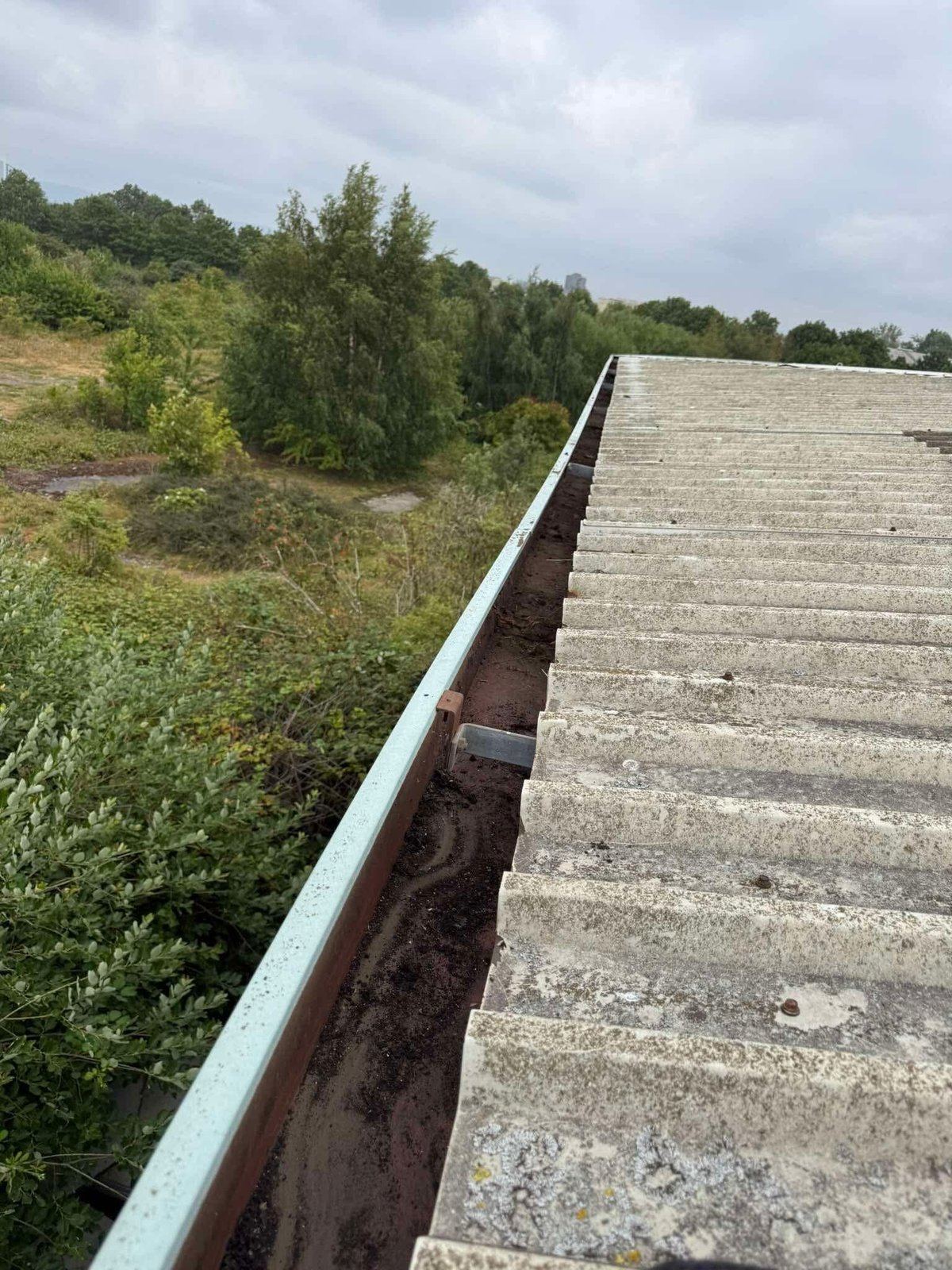 Commercial gutter with the overgrown vegetation removed