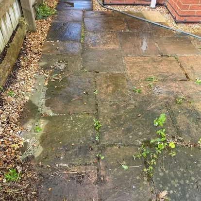 Patio path before cleaning, covered in black spot and growth
